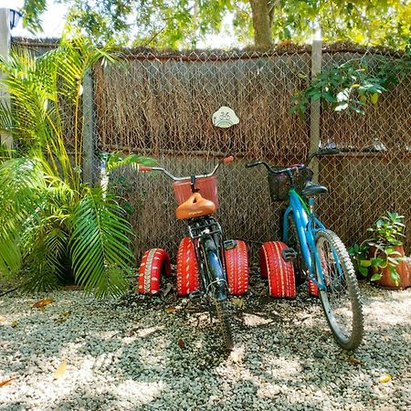Casa Arte Y Selva Bacalar - Free Bikes & Kayyaks Hotel Bagian luar foto